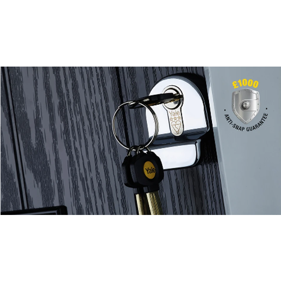 Door Pull with a Platinum 3 Star Cylinder