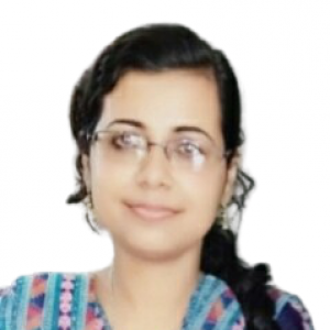 Krishna Kundu